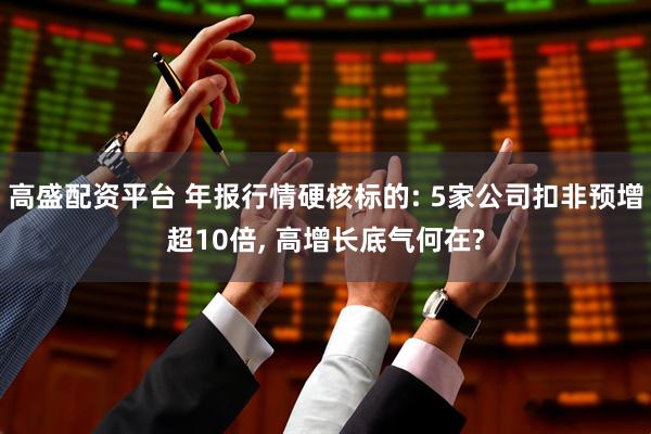 高盛配资平台 年报行情硬核标的: 5家公司扣非预增超10倍, 高增长底气何在?
